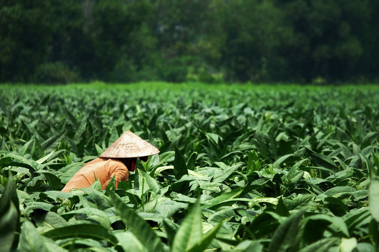 The Role of Field Studies in Effective Conservation Planning